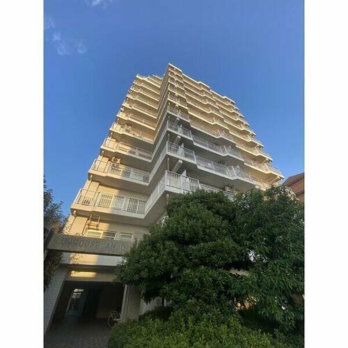 愛知県安城市三河安城南町１丁目 賃貸マンション