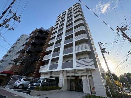 ＴＨＥＯＲＹ　ＫＯＢＥ　ＡＱＵＡＧＲＯＵＶ