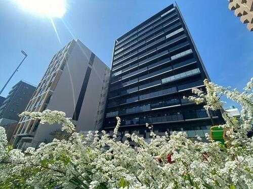愛知県名古屋市中区新栄１丁目 15階建 築4年6ヶ月