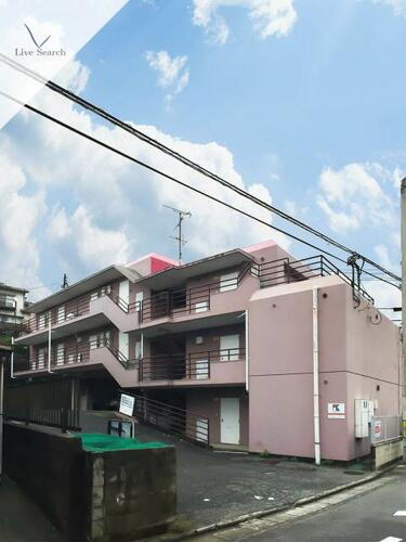 ｏａｓｉｓ金山