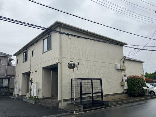 マッティーノＮ