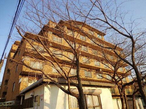 ロイヤルハイツ菅原 8階建