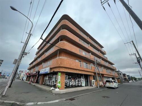 北海道札幌市北区新琴似八条５丁目 5階建