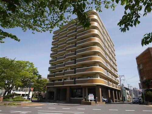 オークランド桜通り 9階建