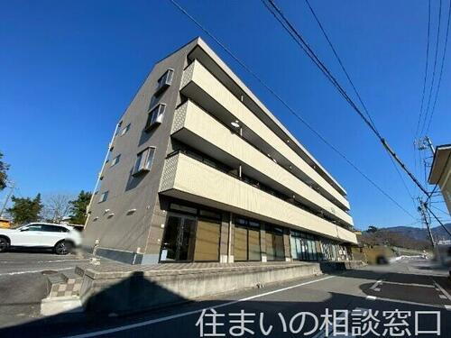 愛知県額田郡幸田町大字菱池字元林 4階建