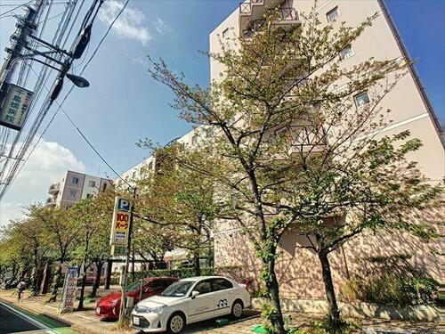 ルポ県庁口 7階建