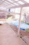 北九州泉台の戸建て 日当たり良好なバルコニー。洗濯物を干しやすい広い空間です。