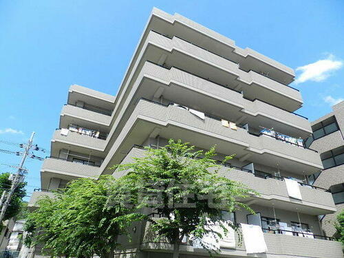 サンライズ 5階建