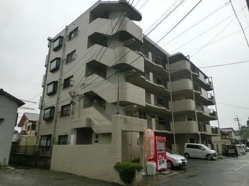 アルバトラモント古前