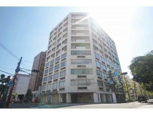 チサンマンション岡山 11階建