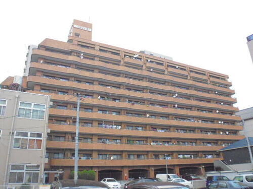 朝日プラザ五橋－Ⅱ 11階建