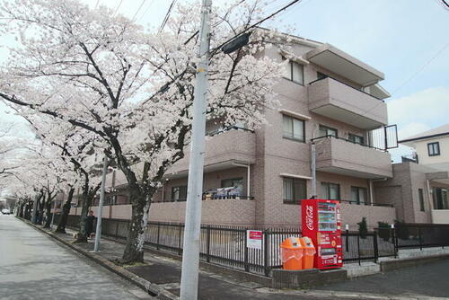 ハイプラザ桜並木Ｂ 3階建