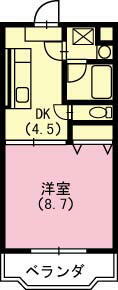神奈川県平塚市南金目 平塚駅 1DK マンション 賃貸物件詳細