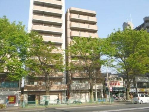 京都府京都市下京区七条御所ノ内南町 9階建 築19年10ヶ月