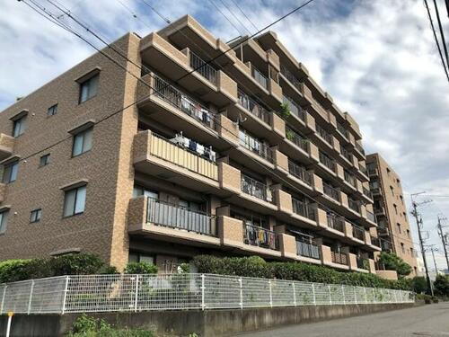 静岡県静岡市清水区楠新田 賃貸マンション