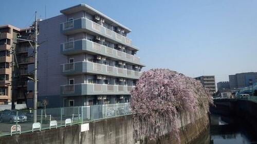 アムール祥 5階建
