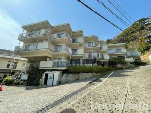 神奈川県鎌倉市玉縄２丁目 賃貸マンション