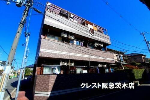 プチコスモ茨木 3階建