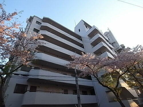 兵庫県尼崎市猪名寺２丁目 7階建 築34年8ヶ月