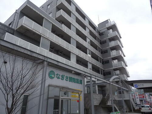 新潟県新潟市中央区出来島１丁目 7階建 築24年1ヶ月