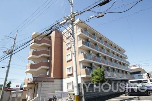 徳島県徳島市住吉６丁目 賃貸マンション