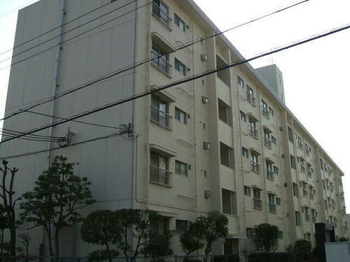 兵庫県神戸市東灘区渦森台２丁目 5階建 築53年11ヶ月