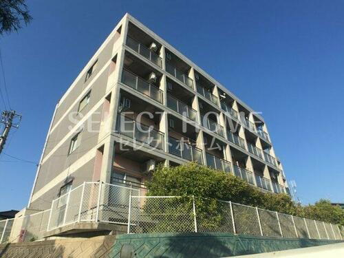 愛知県岡崎市明大寺町字大圦 賃貸マンション