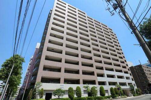 アデニウム新横浜