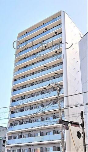 ＬＡＴＩＥＲＲＡ　ＮＥＲＩＭＡ／ラティエラネリマ