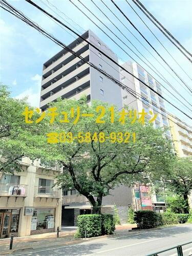 ＩＡＲＥＴＨ　ＮＥＲＩＭＡ／イアースネリマ