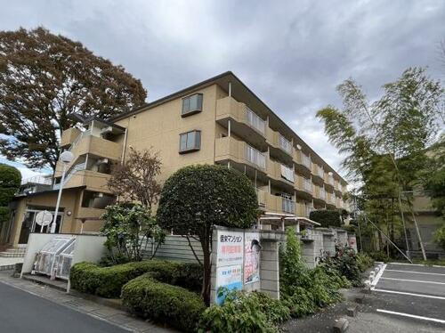 埼玉県さいたま市大宮区上小町 賃貸マンション