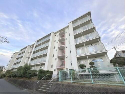 奈良県橿原市白橿町５丁目 5階建