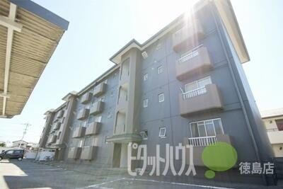 スカイハイツ新田 4階建