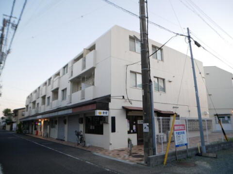 エスカイア中田 4階建