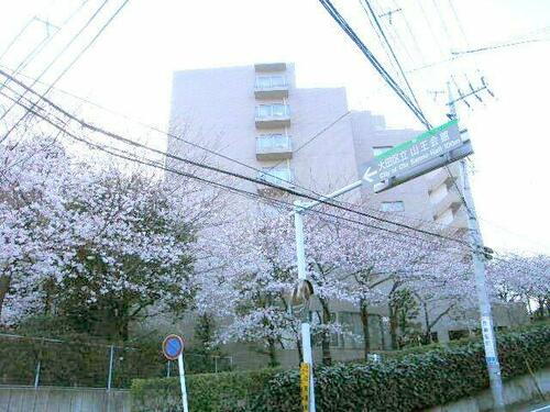 東京都大田区山王３丁目 賃貸マンション