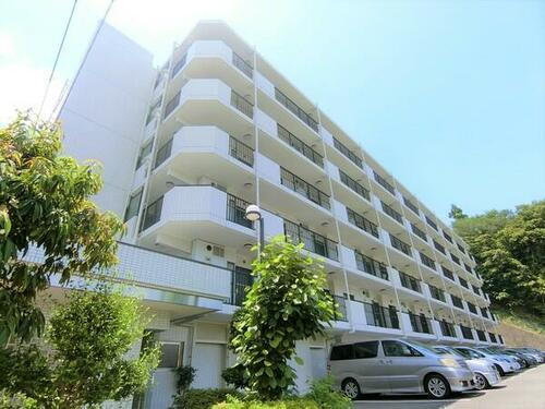 神奈川県川崎市多摩区枡形５丁目 賃貸マンション