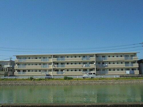 高知県高知市南金田 賃貸マンション