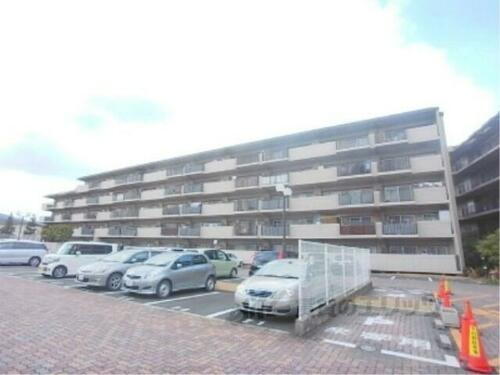 滋賀県大津市平津２丁目 5階建 築31年11ヶ月