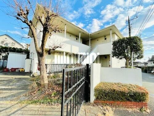 ホワイトコート