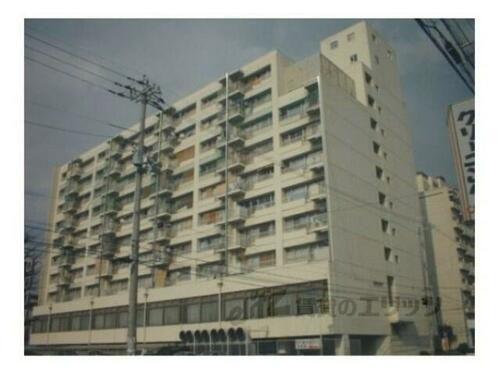 友禅ハイツ 11階建