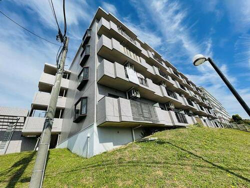 神奈川県横浜市戸塚区前田町 賃貸マンション