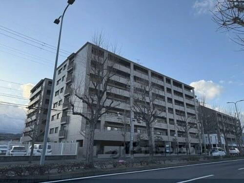 京都府京都市西京区上桂東ノ口町 7階建 築25年3ヶ月