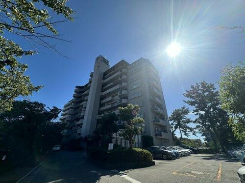 パラツィーナセシリア仁川弐番館 10階建