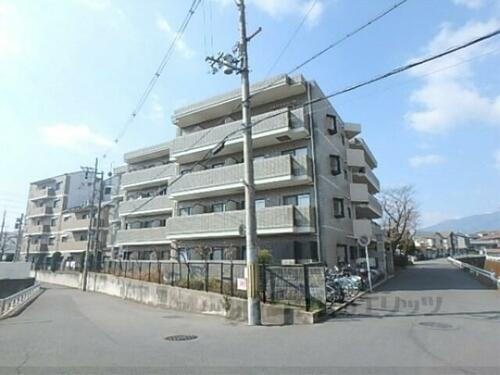 京都府京都市右京区常盤一ノ井町 4階建 築36年10ヶ月