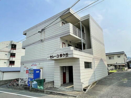 大分県別府市桜ケ丘 賃貸マンション