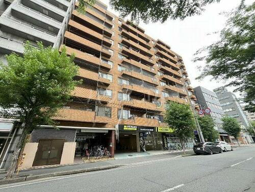 京都府京都市下京区七条御所ノ内北町 10階建