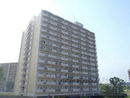 京都府京都市伏見区向島藤ノ木町 賃貸マンション