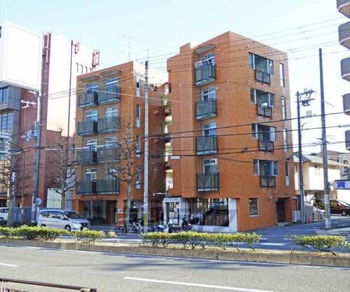 京都府京都市北区衣笠東御所ノ内町 5階建