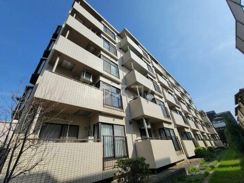千葉県市川市末広２丁目 5階建