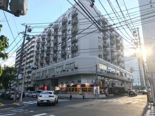 チサンマンション広島 11階建